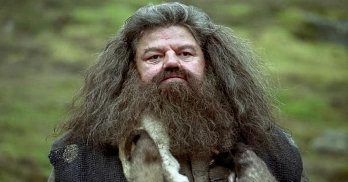 hagrid Harry potter 1