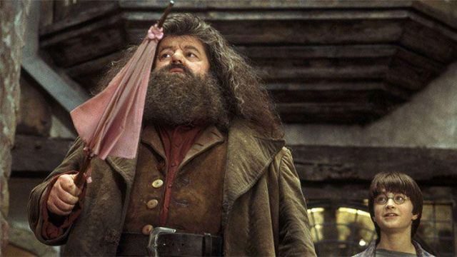 hagrid parapluie