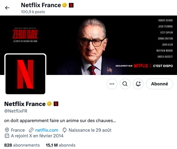 Capture de la bio du compte de Netflix