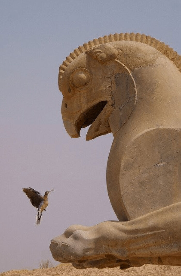 statue du Griffon à Persépolis