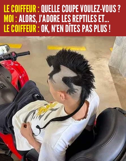 Un mec avec une coupe de cheveux lézard