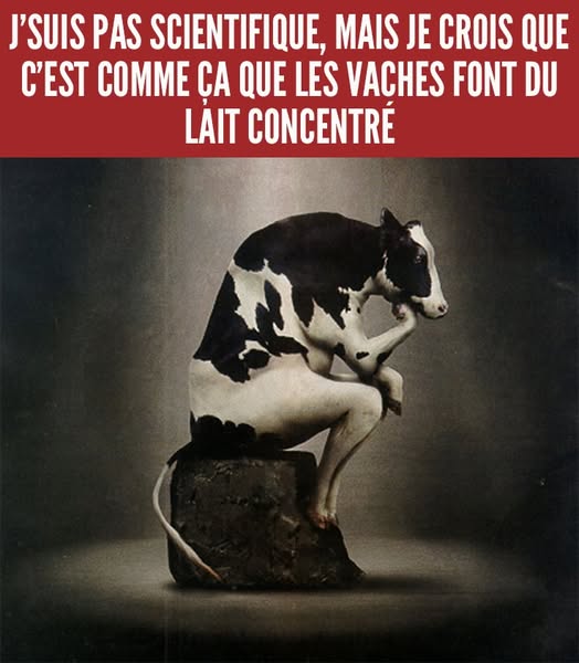 Vache qui réfléchit