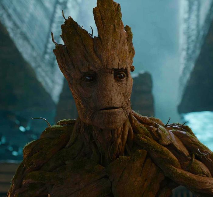 Groot