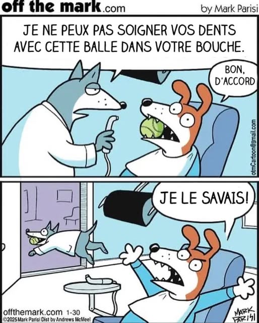 BD chiens