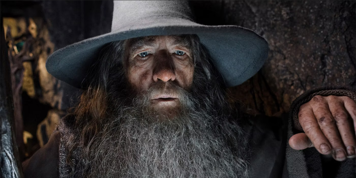 Gandalf le gris