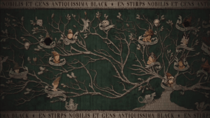 harry potter arbre genealogique black