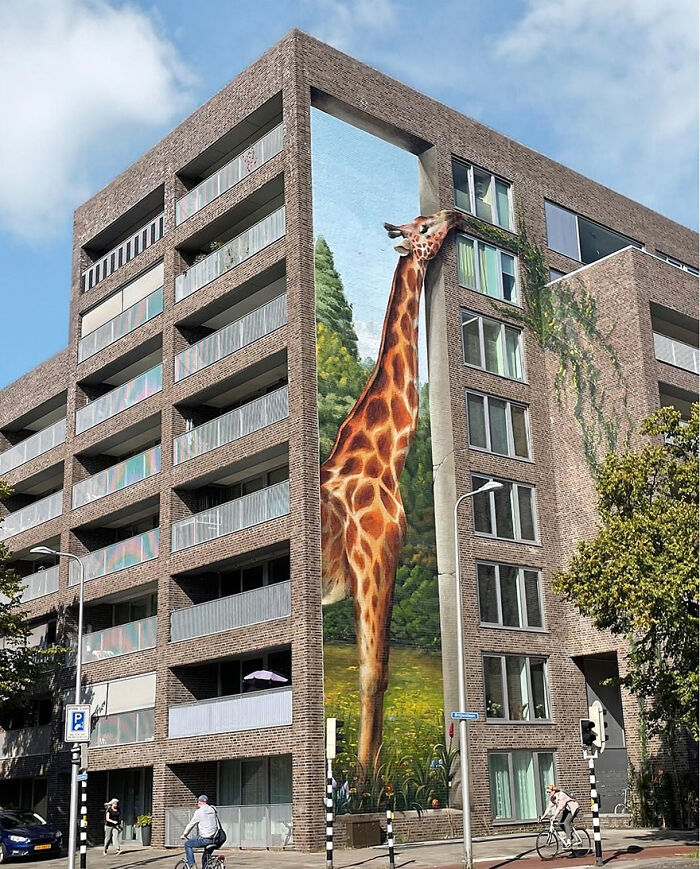 giraffe