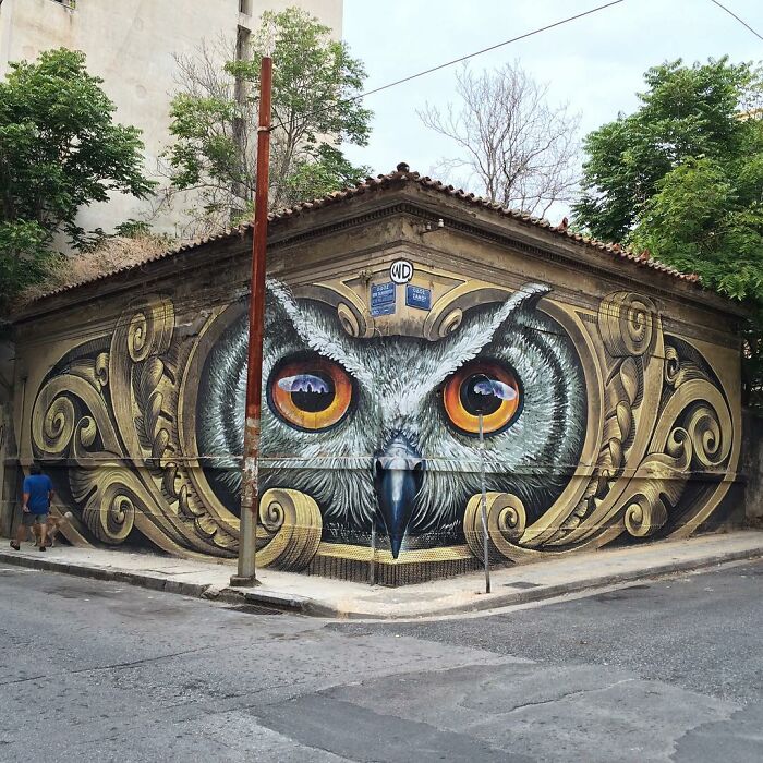 hibou