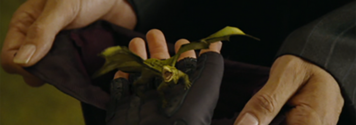 Cedric Diggory