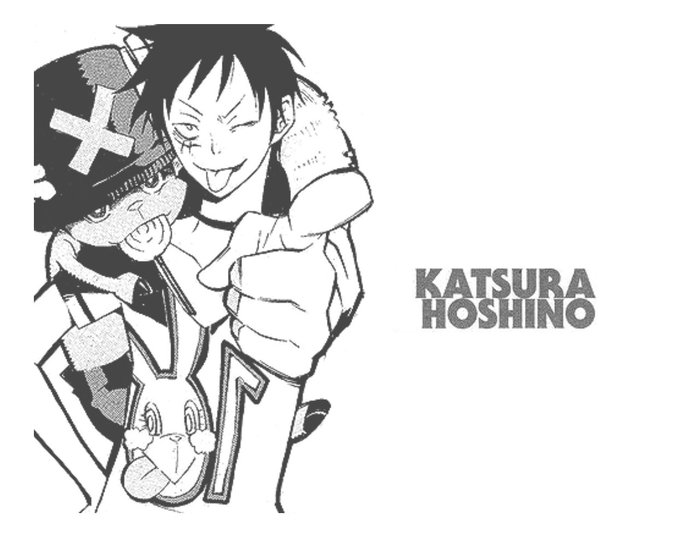 Luffy par Katsura Hoshino