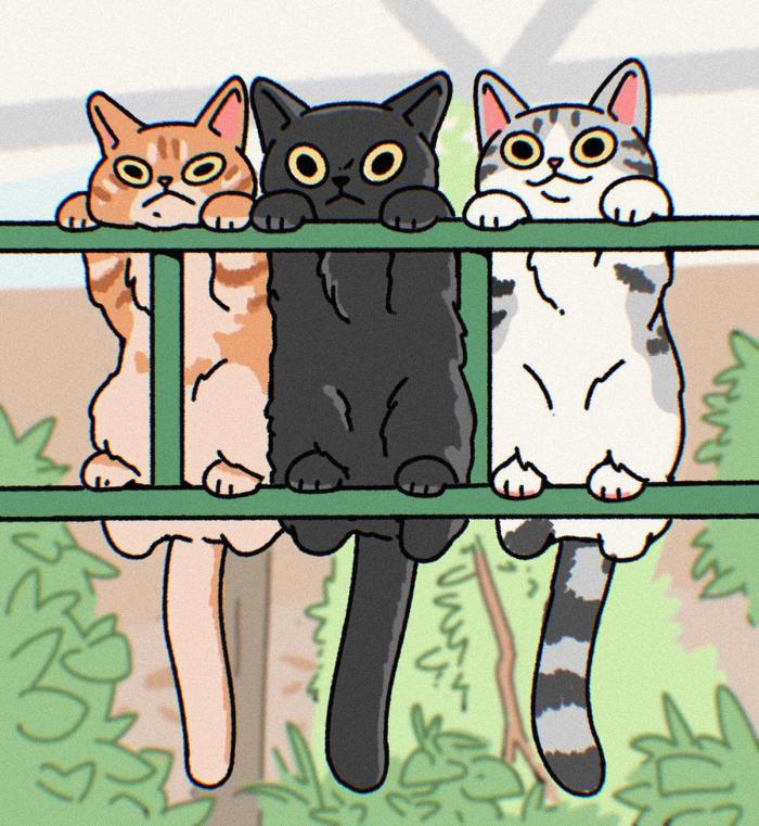 3 chats qui surveillent version cartoon