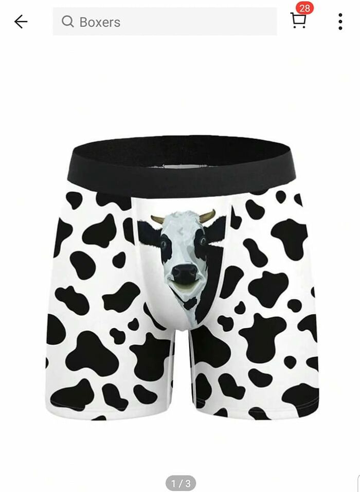 boxer vache