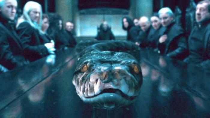 nagini