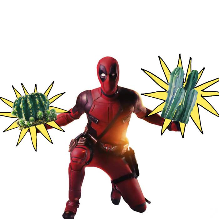 Deadpool qui tient des cactus