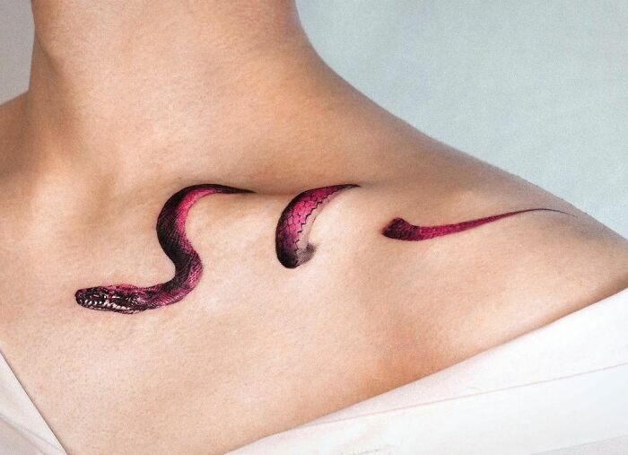 clavicle snake
