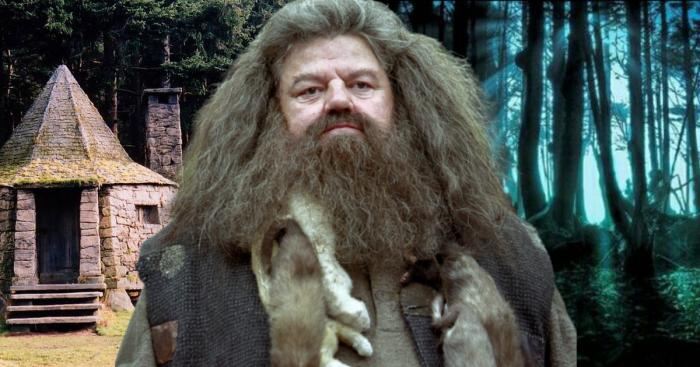 secret hagrid