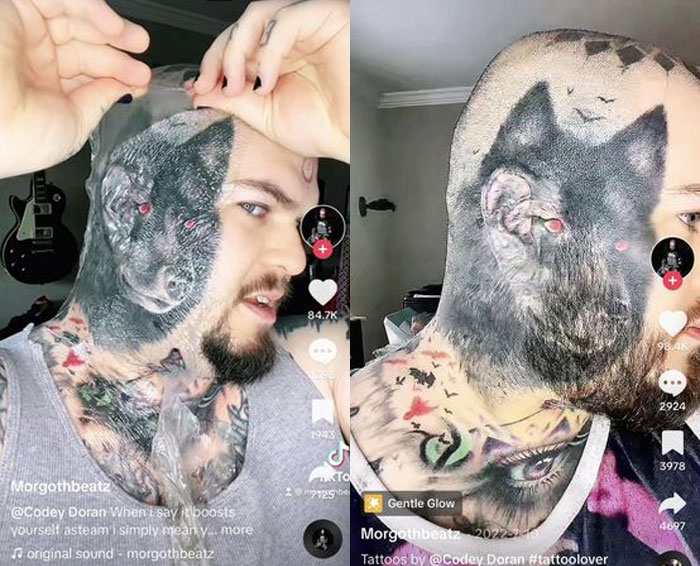 tatouage raté tête de loup sur la tête