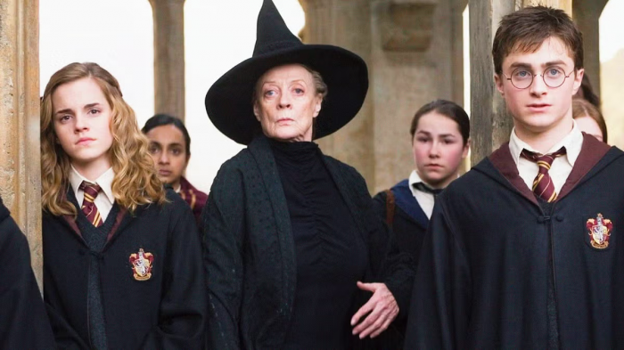 Hermione McGonagall et Harry Potter