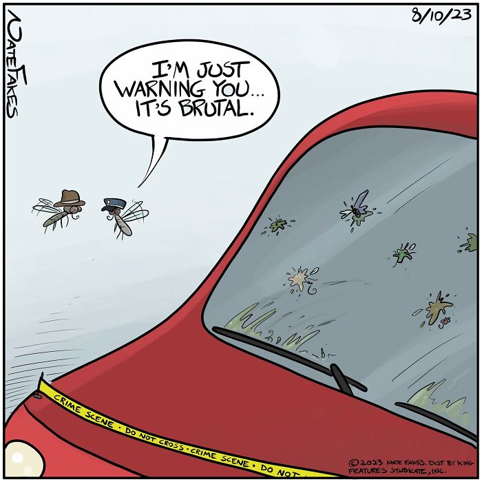 Une scène de crimes entre moustiques;