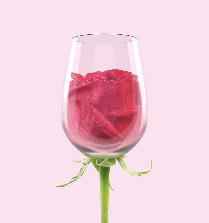 une rose dans un verre