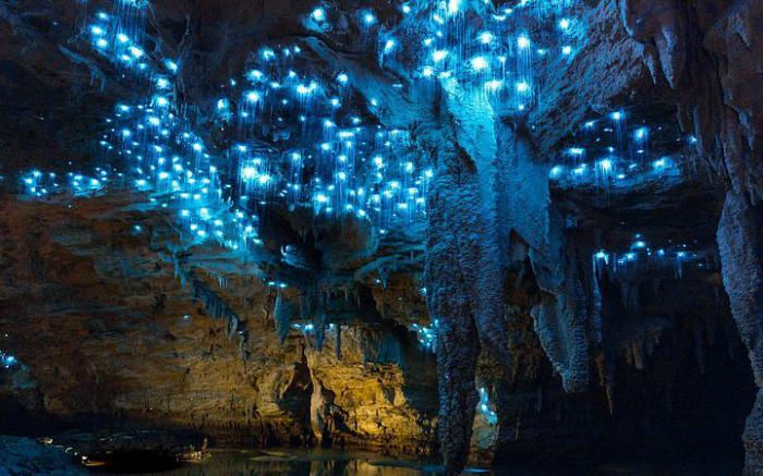 Caverna Waitomo Glowworm, Nova Zelândia
