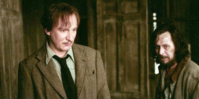 Remus Lupin et Sirius Black dans Harry Potter et le Prisonnier d