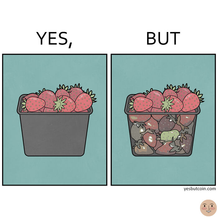 oui mais les fraises