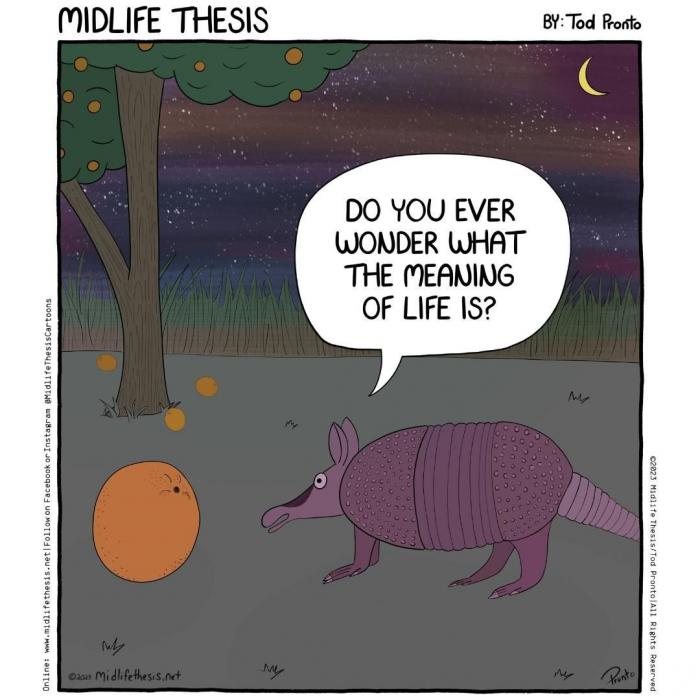 midlife thesis existence