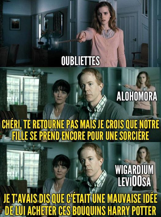 Hermione et ses parents dans la saga Harry Potter