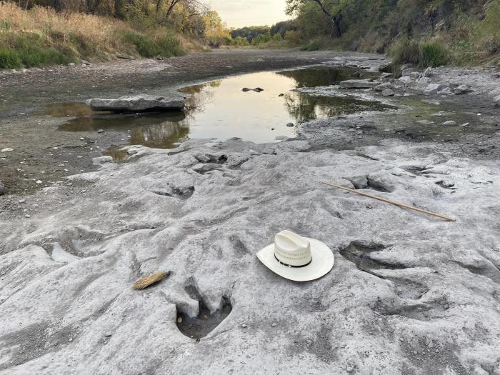 Traces de dinosaures dans une rivière