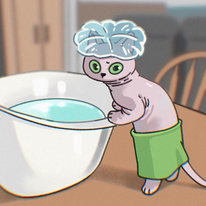 chat qui prend un bain version cartoon