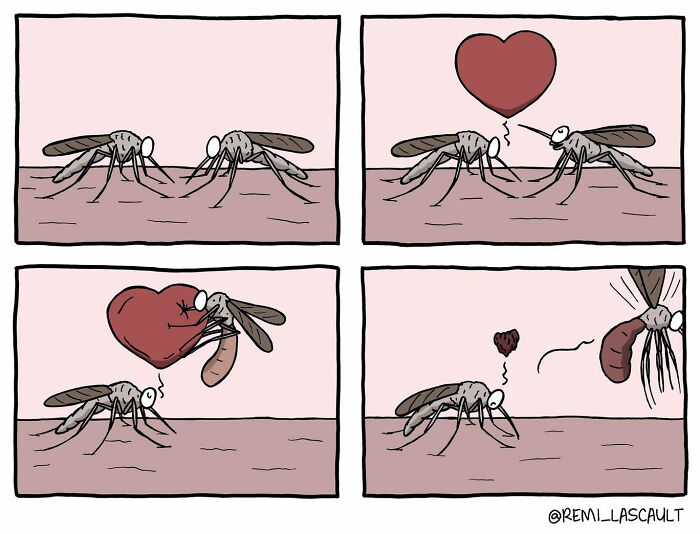 BD avec des moustisques