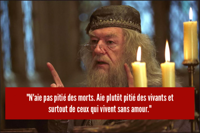 Dumbledore 1 