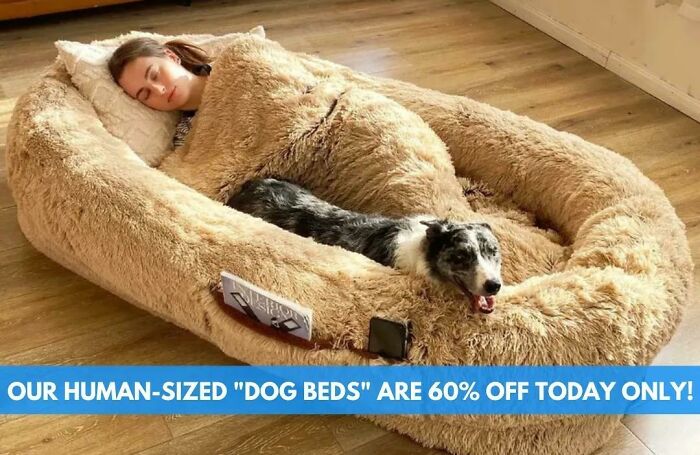 lit pour chien et humain
