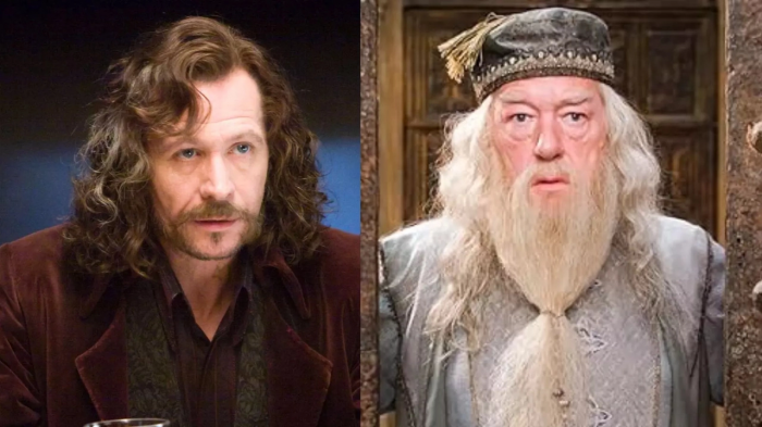 Sirius Black et Dumbledore