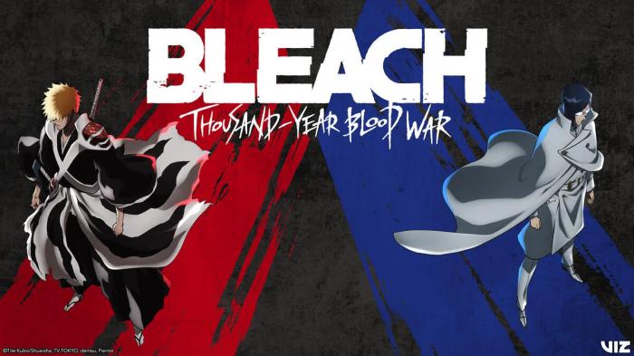 anime bleach thousand year blood war