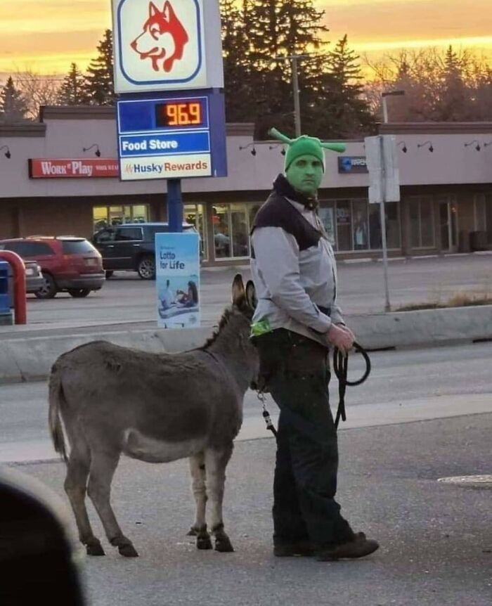 déguisement de Shrek et un âne