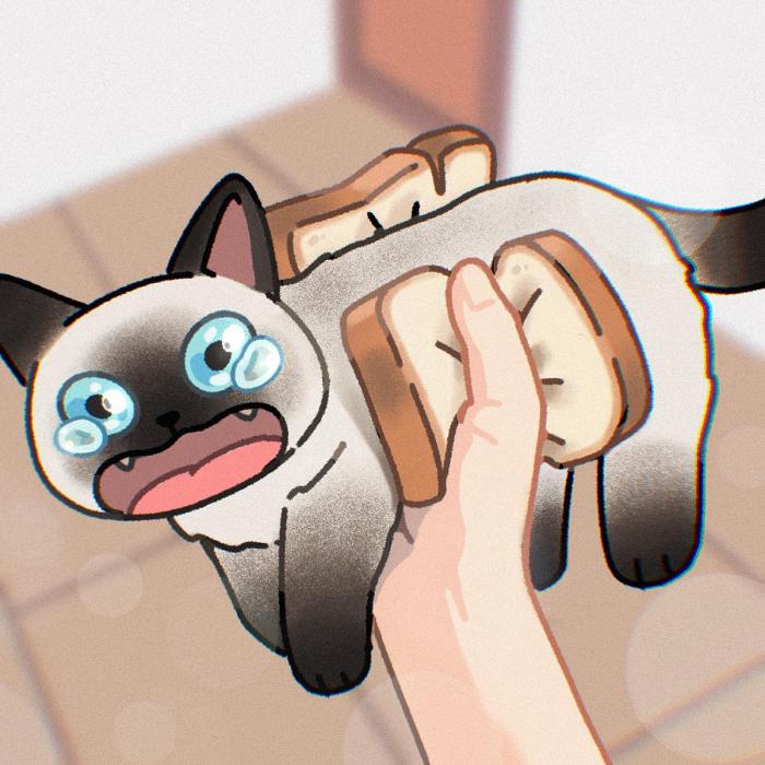 un chat en sandwich version cartoon