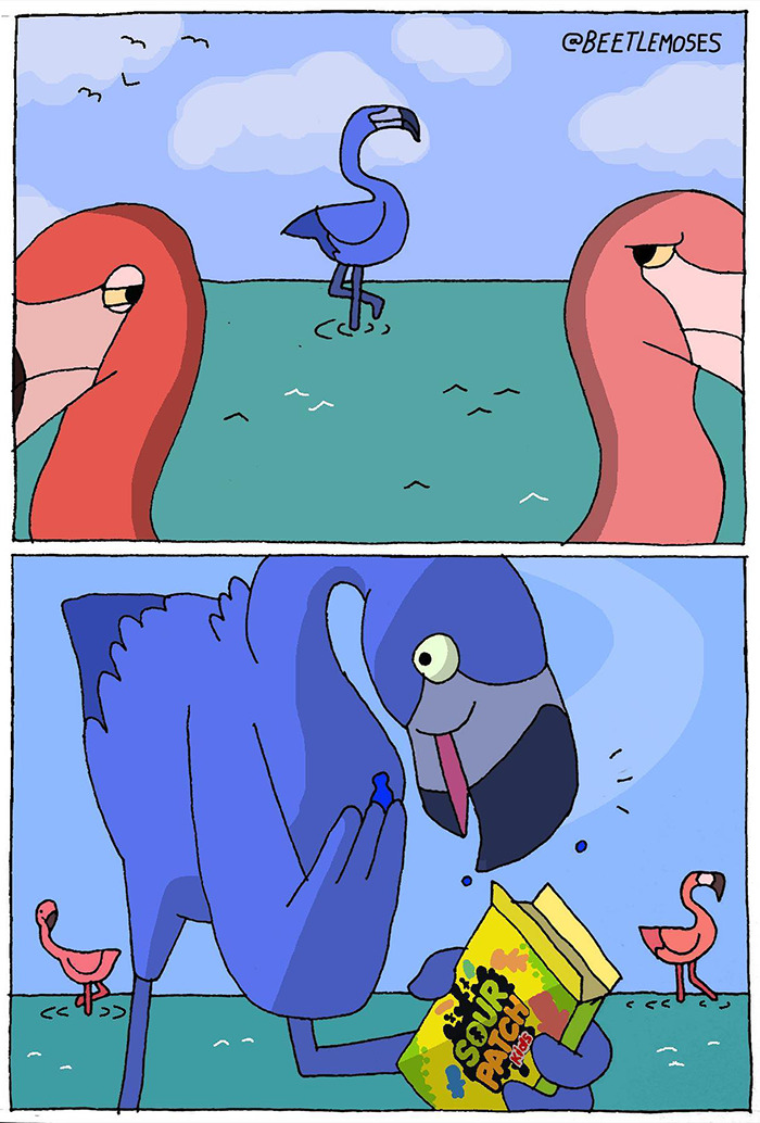 des oiseaux roses et bleus