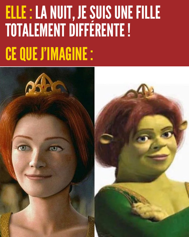 Fiona dans la saga Shrek