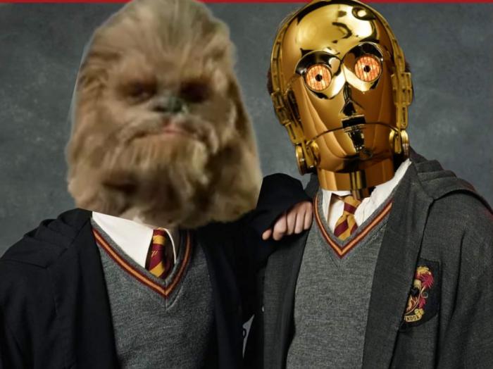 Chewbacca et C-3PO de la saga Star Wars