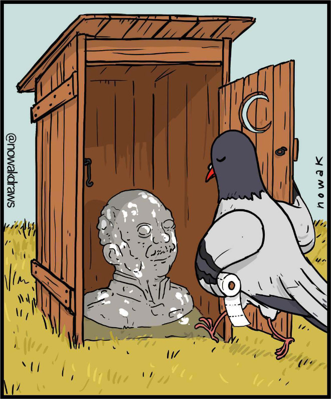 un pigeon dans un wc