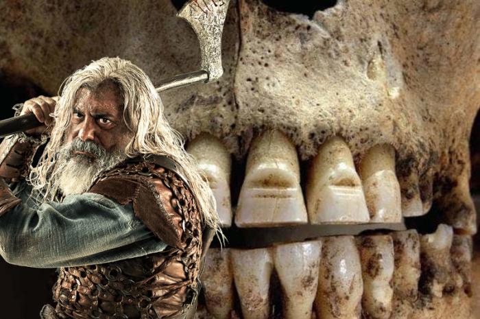 vikings dents squelette.jpg