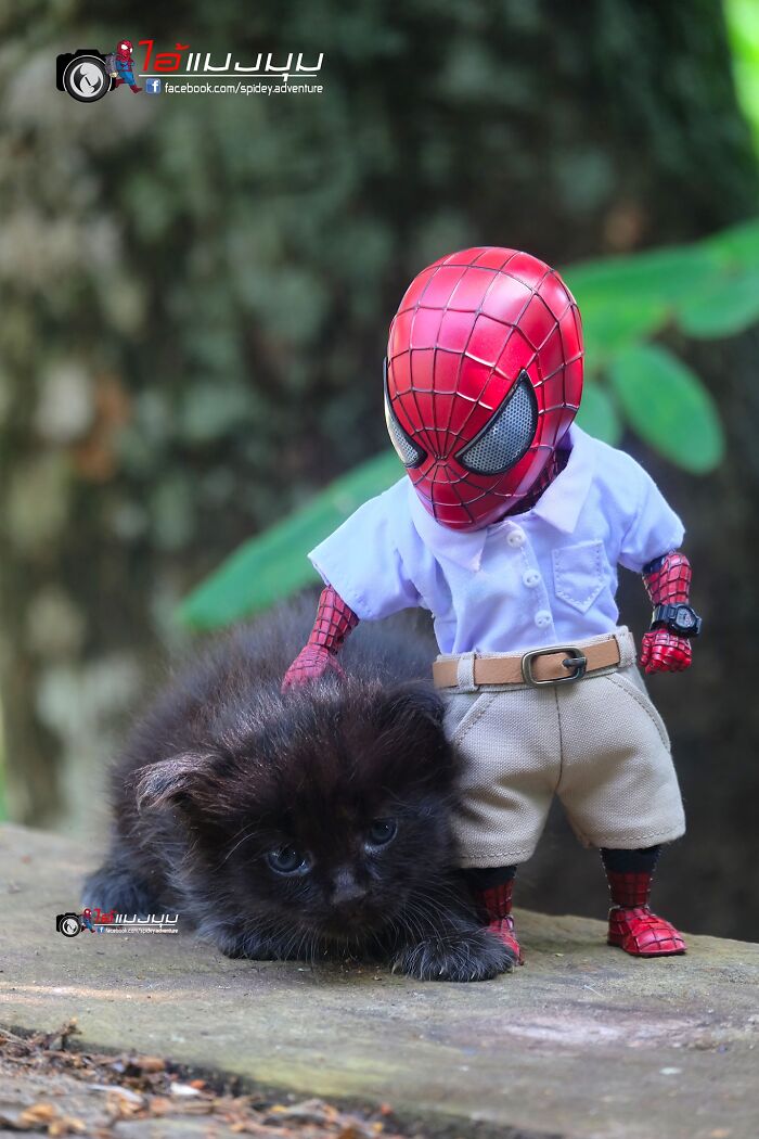 baby spiderman avec un chaton