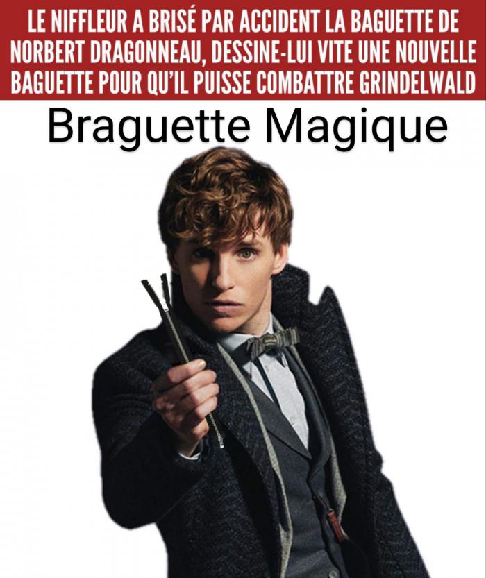 Norbert Dragonneau et sa braguette magique
