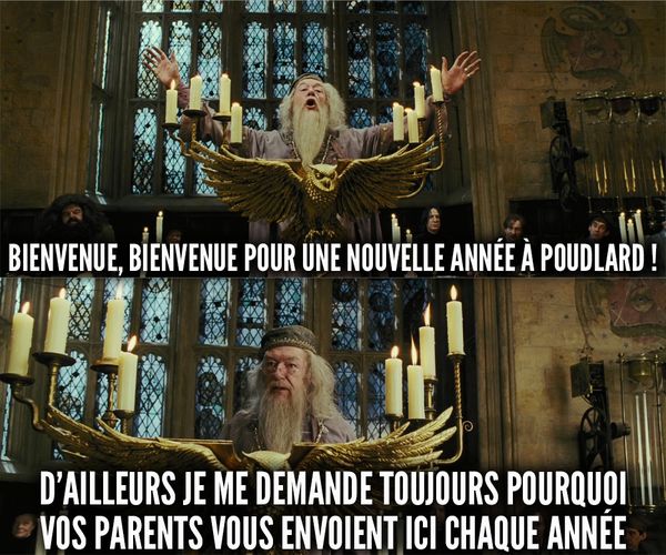 Dumbledore dans la saga Harry Potter