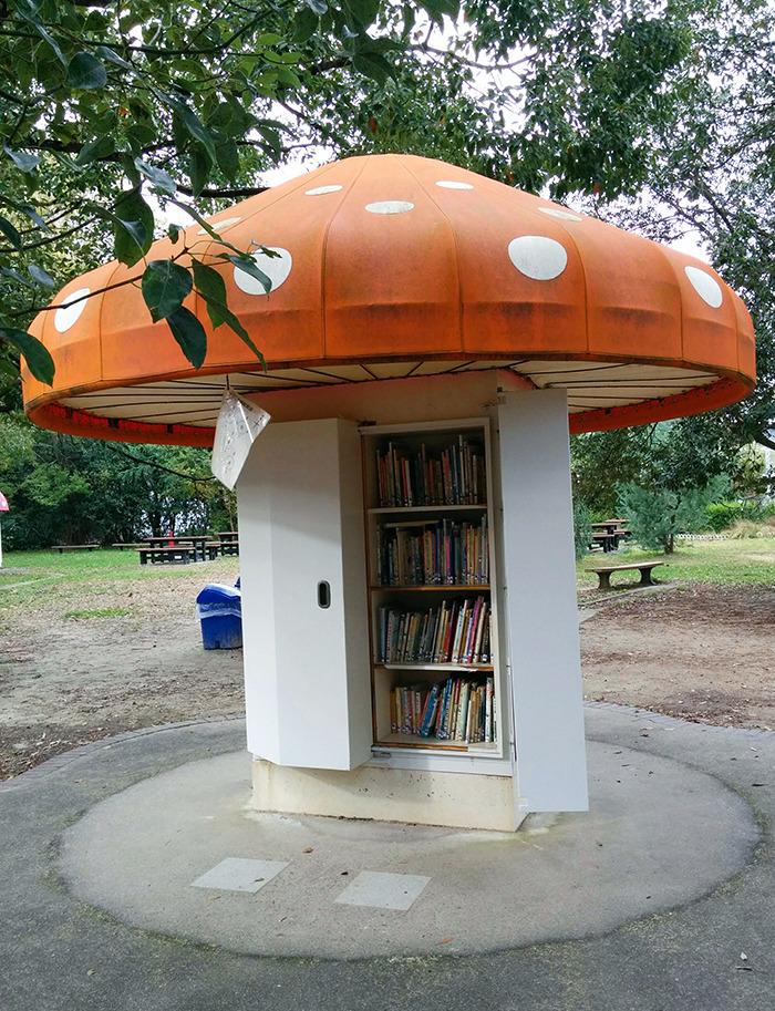 biblitohèque champignon