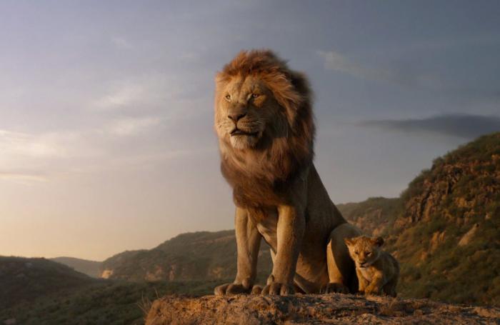 mufasa le roi lion