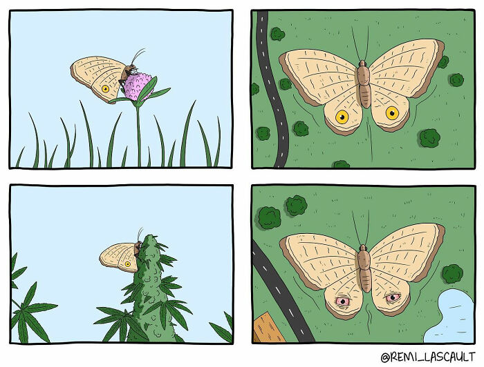 BD avec un papillon