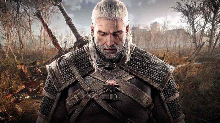 The Witcher